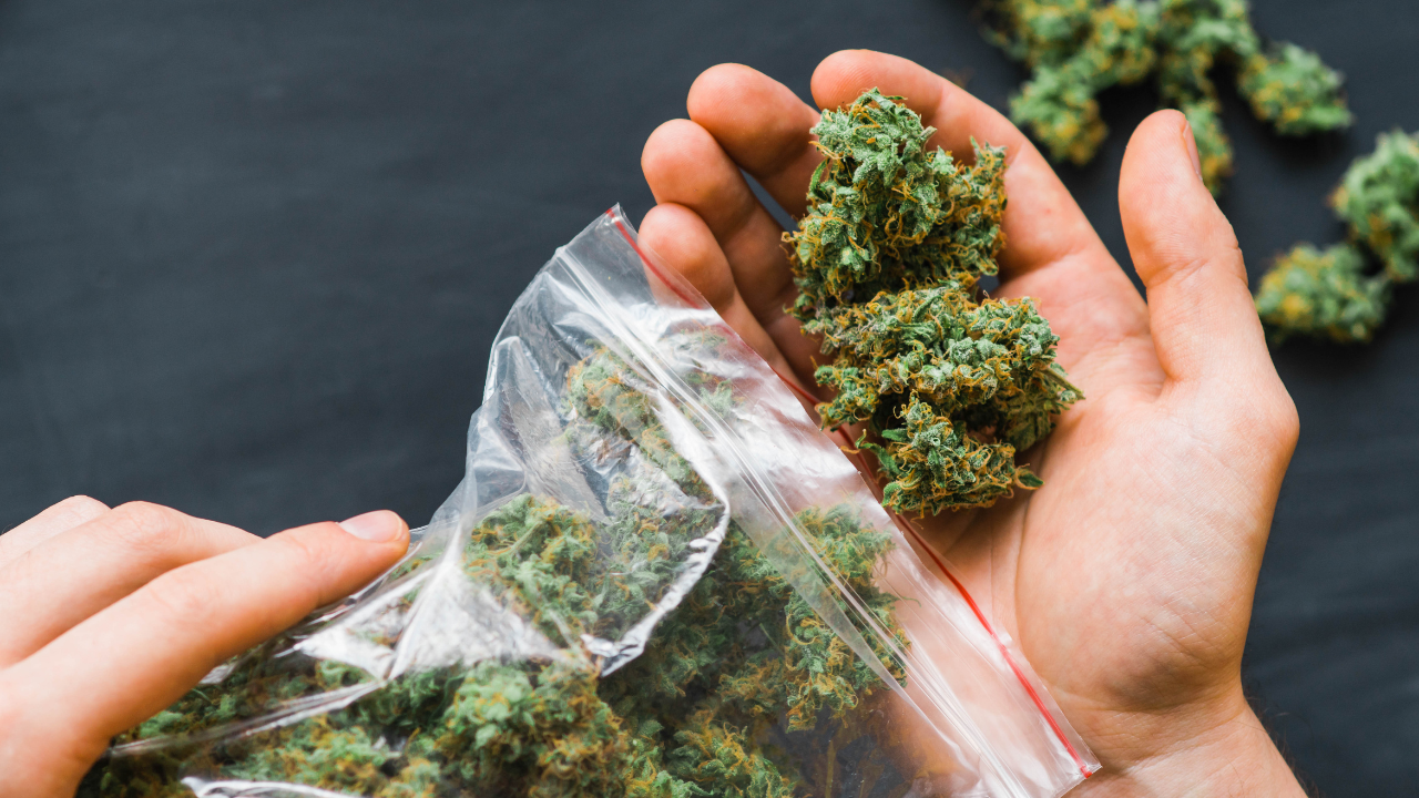 legal possession amount